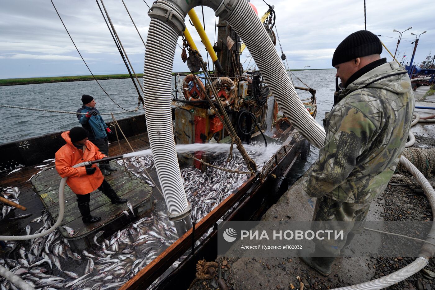 Лососевая путина стартовала на реке Опала в Камчатском крае