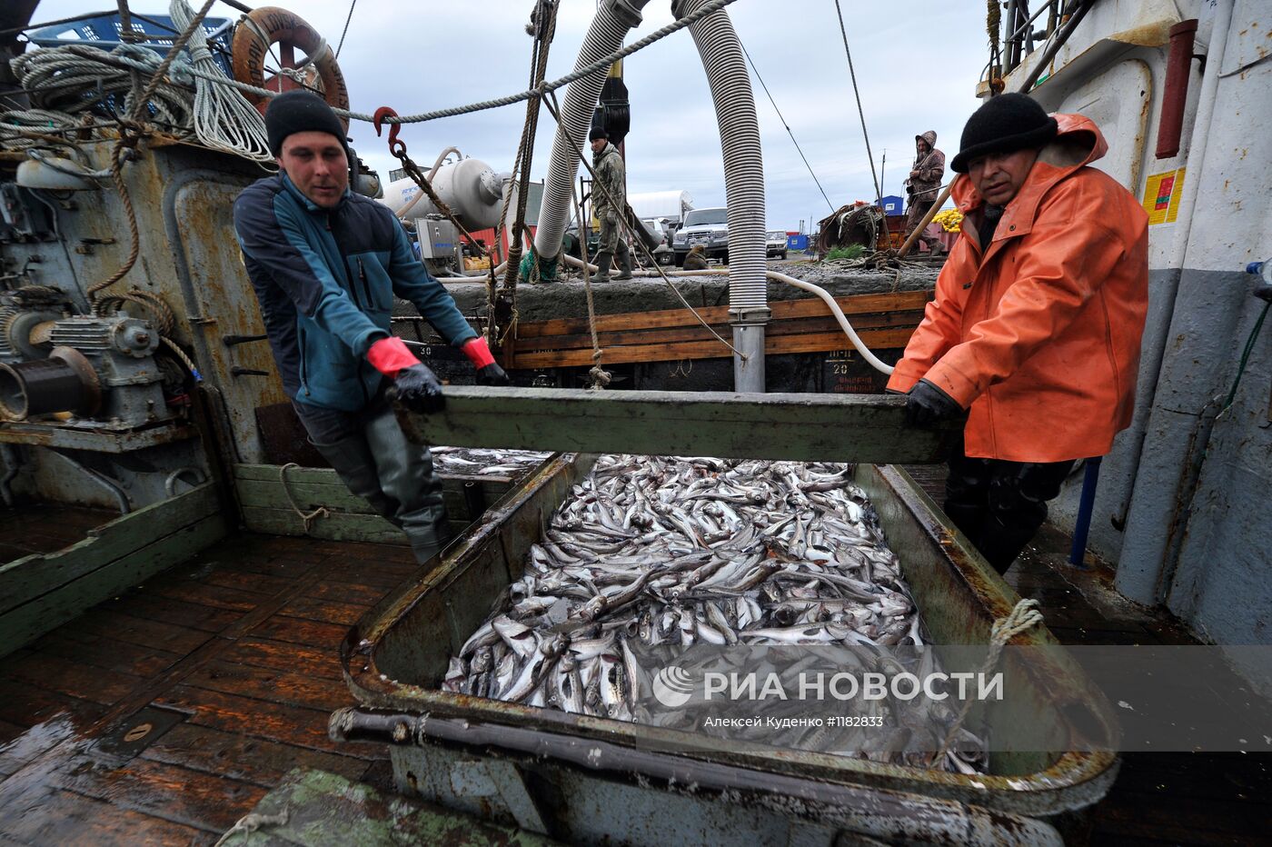 Лососевая путина стартовала на реке Опала в Камчатском крае