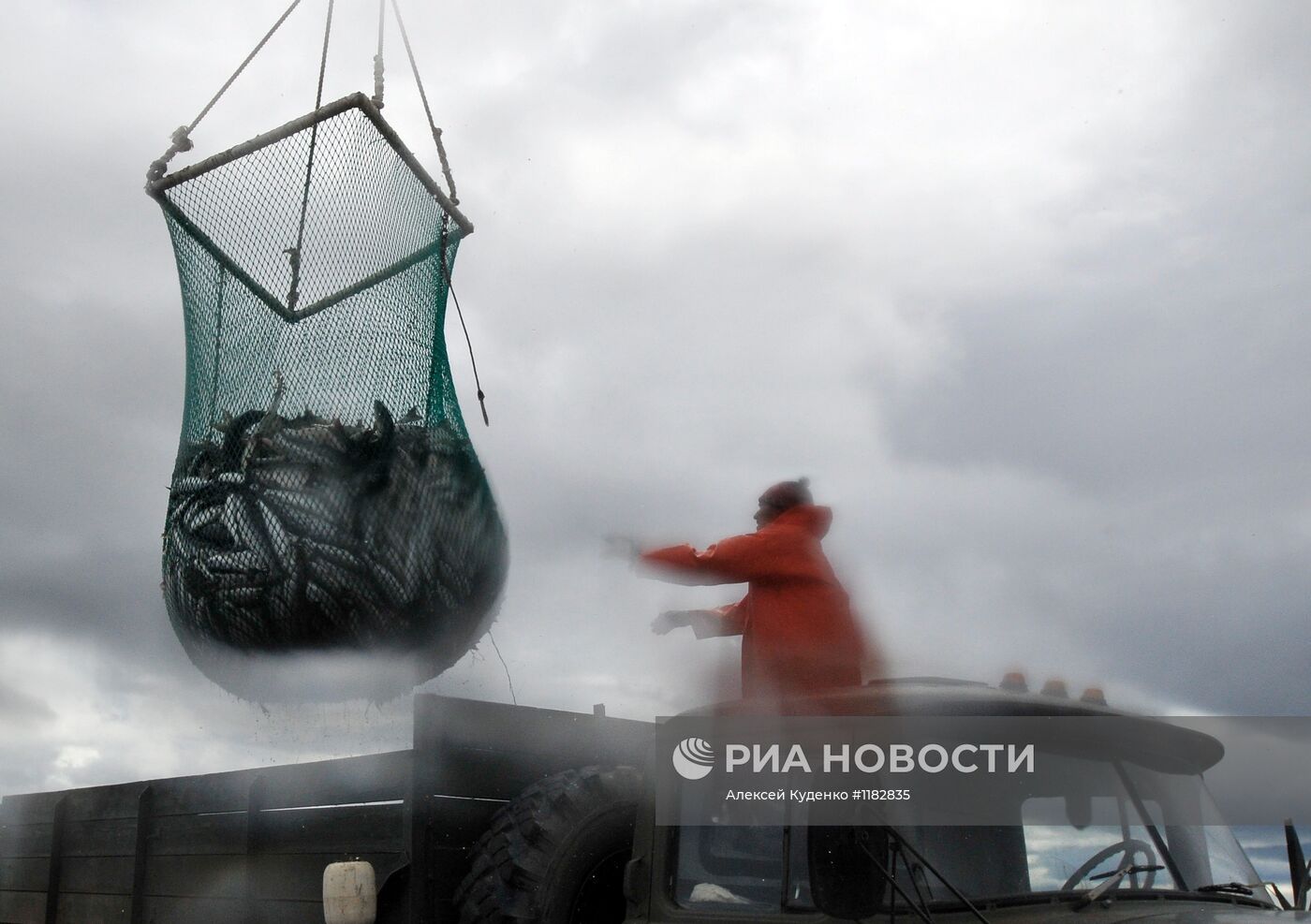 Лососевая путина стартовала на реке Опала в Камчатском крае