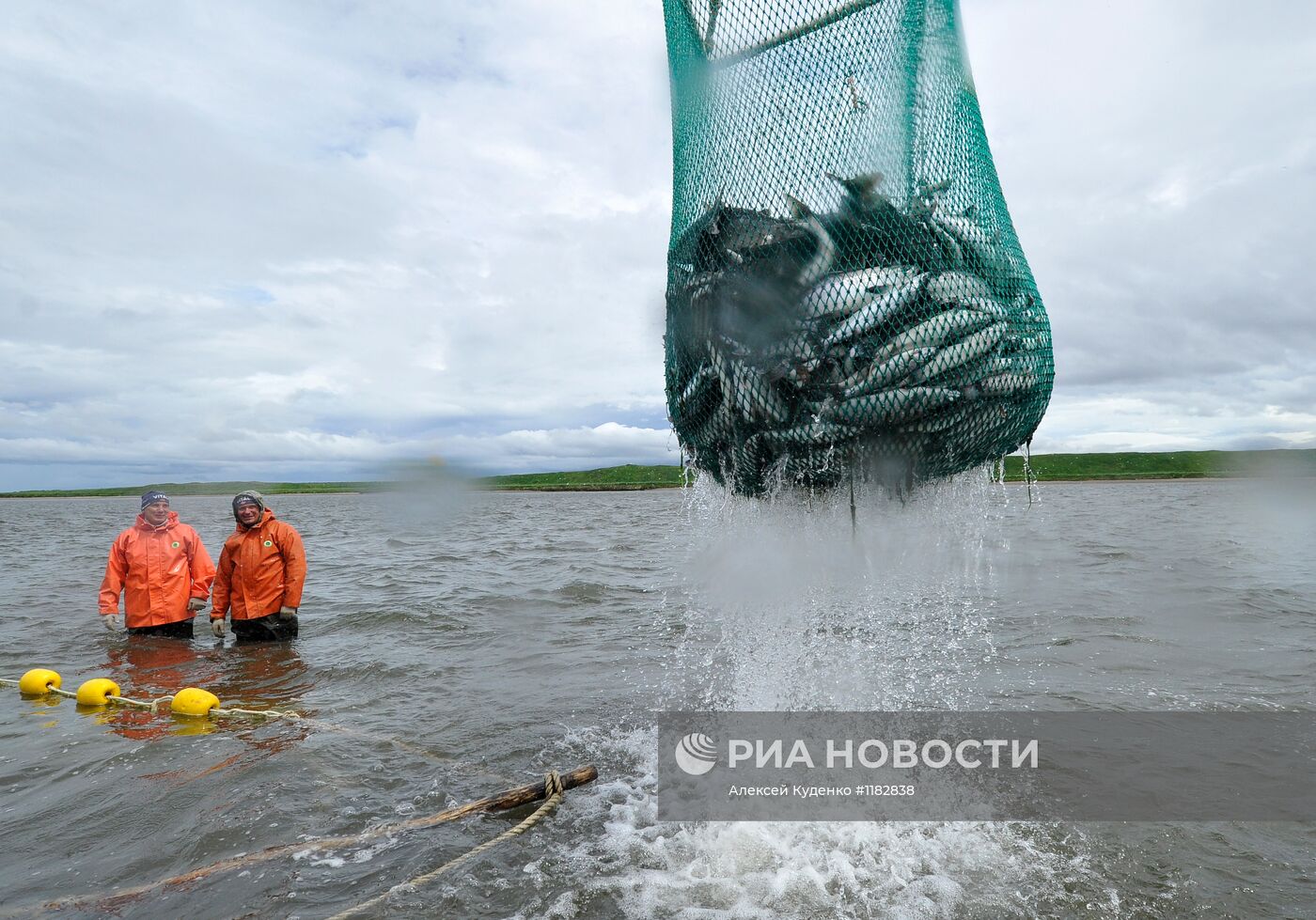 Лососевая путина стартовала на реке Опала в Камчатском крае