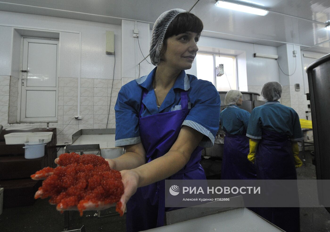 Лососевая путина стартовала на реке Опала в Камчатском крае