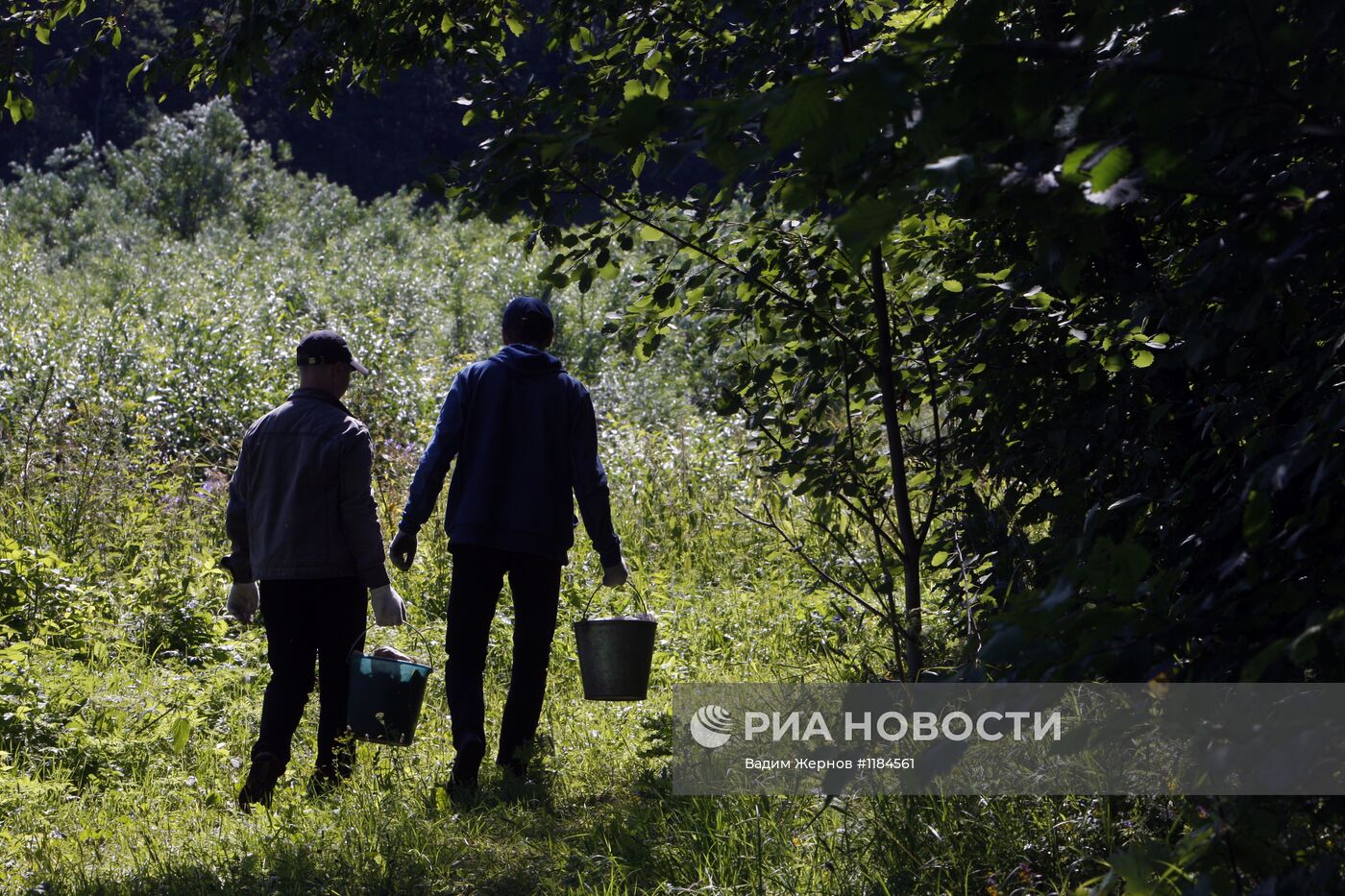 Работа детских летних лагерей в Ленинградской области