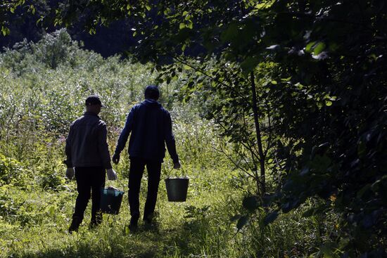 Работа детских летних лагерей в Ленинградской области