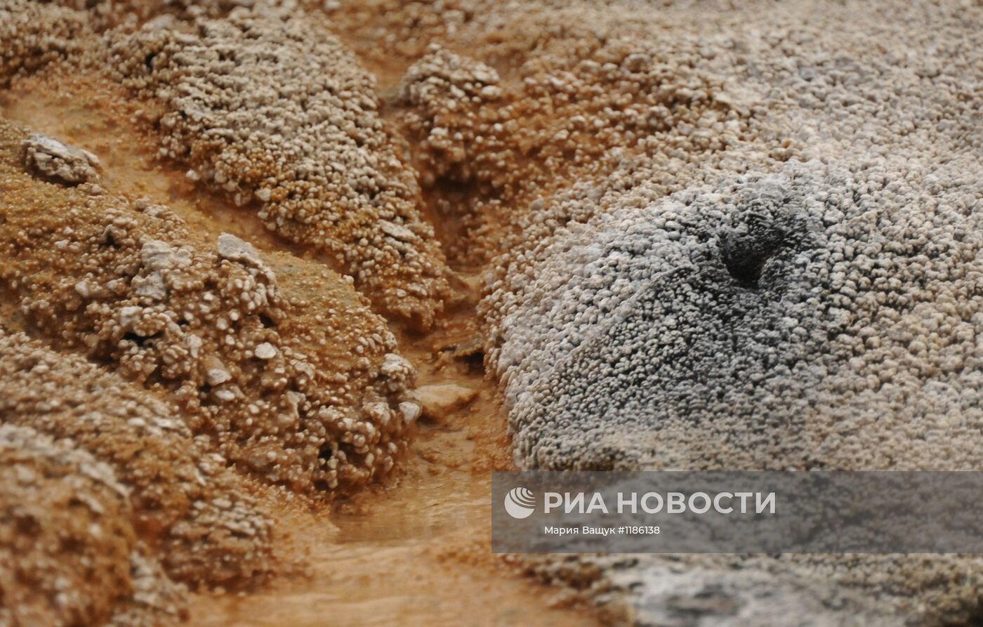 Долина Гейзеров в Кроноцком заповеднике