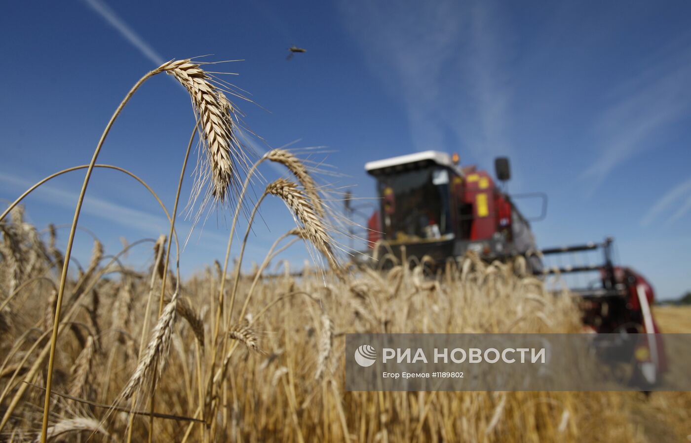 Праздник начала жатвы в Белоруссии