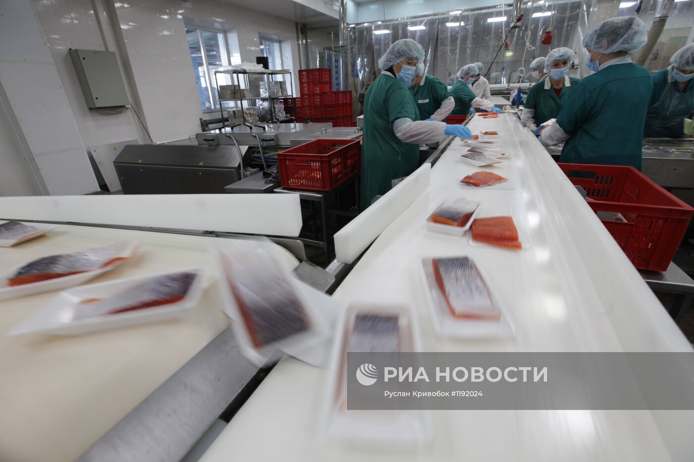 Работа завода "Русское море" в Ногинске