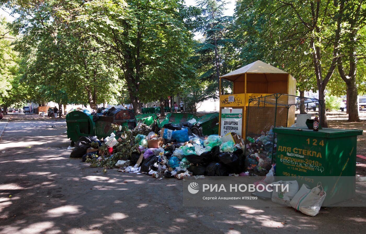 Экологическая ситуация на улицах Севастополя