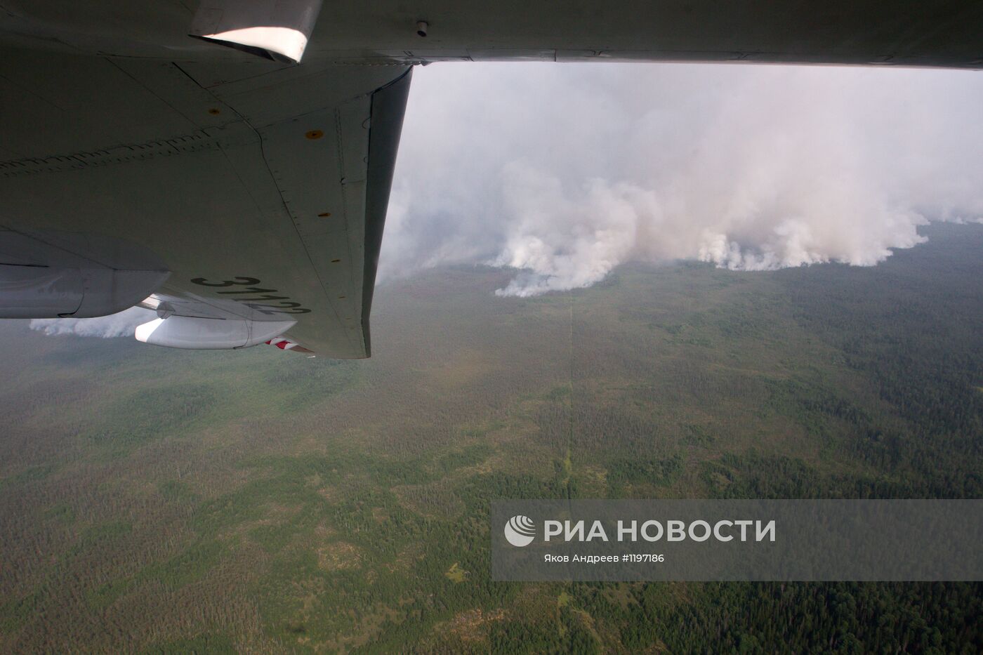 Лесные пожары в Томской области