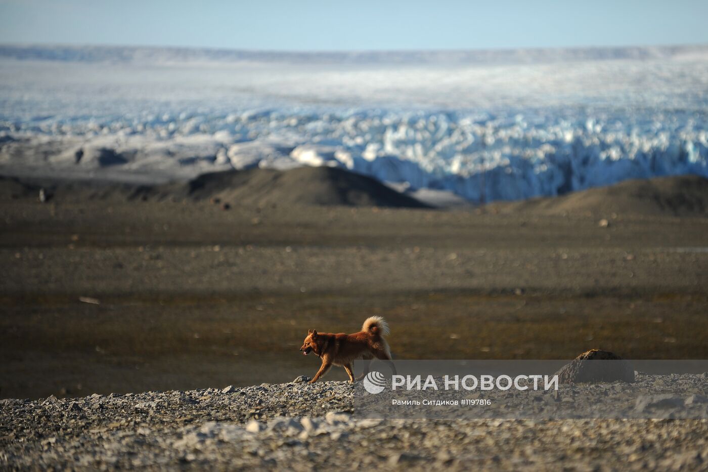 Национальный парк "Русская Арктика"