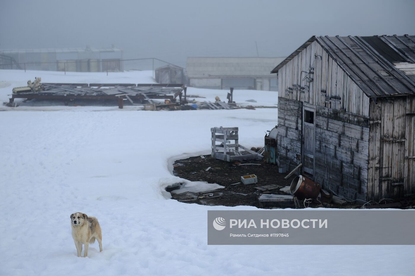 Национальный парк "Русская Арктика"