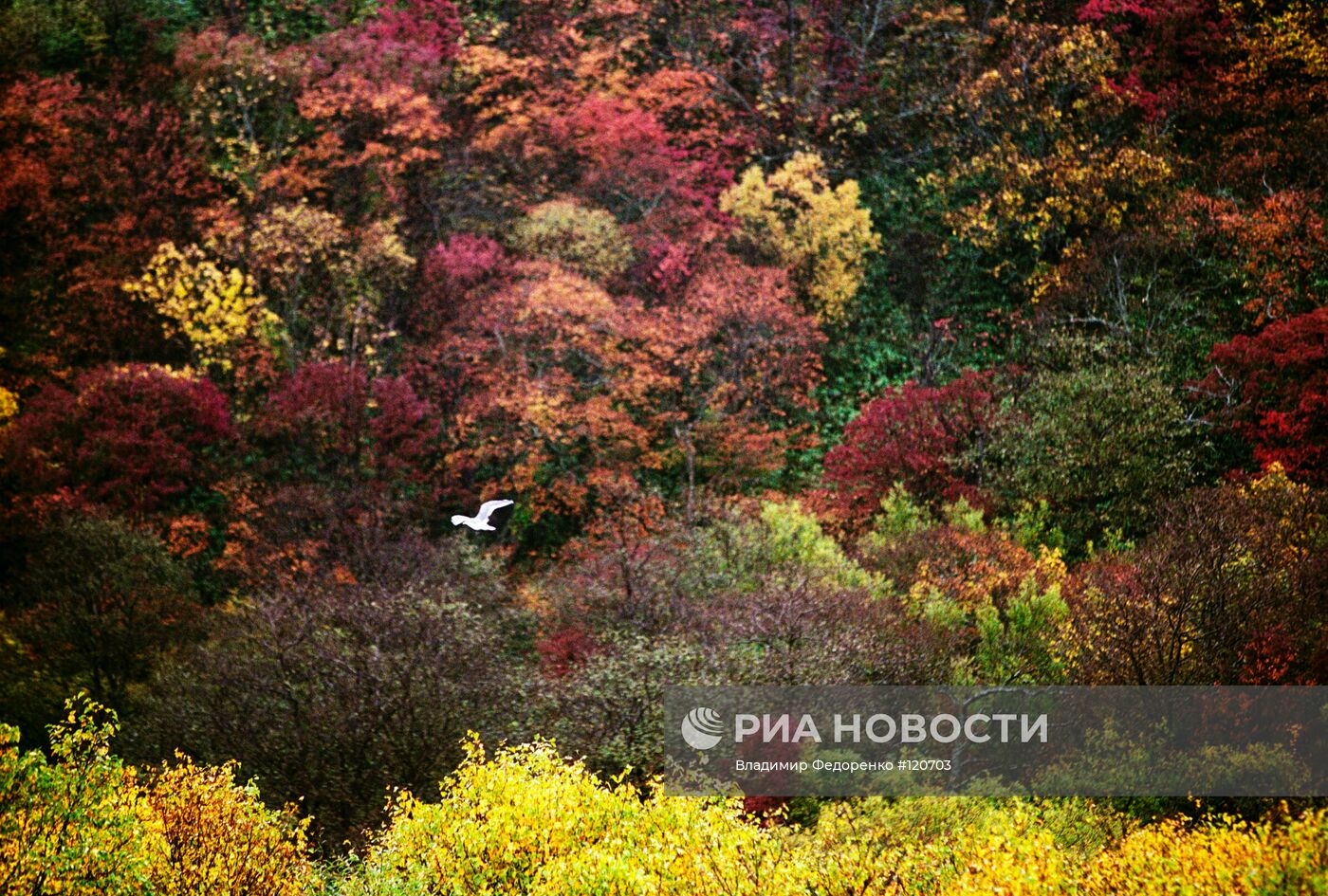 ПЕЙЗАЖ ОСТРОВ ИТУРУП