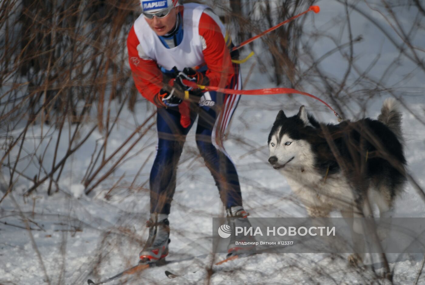 ЧЕМПИОНАТ ЕЗДОВОЙ СПОРТ