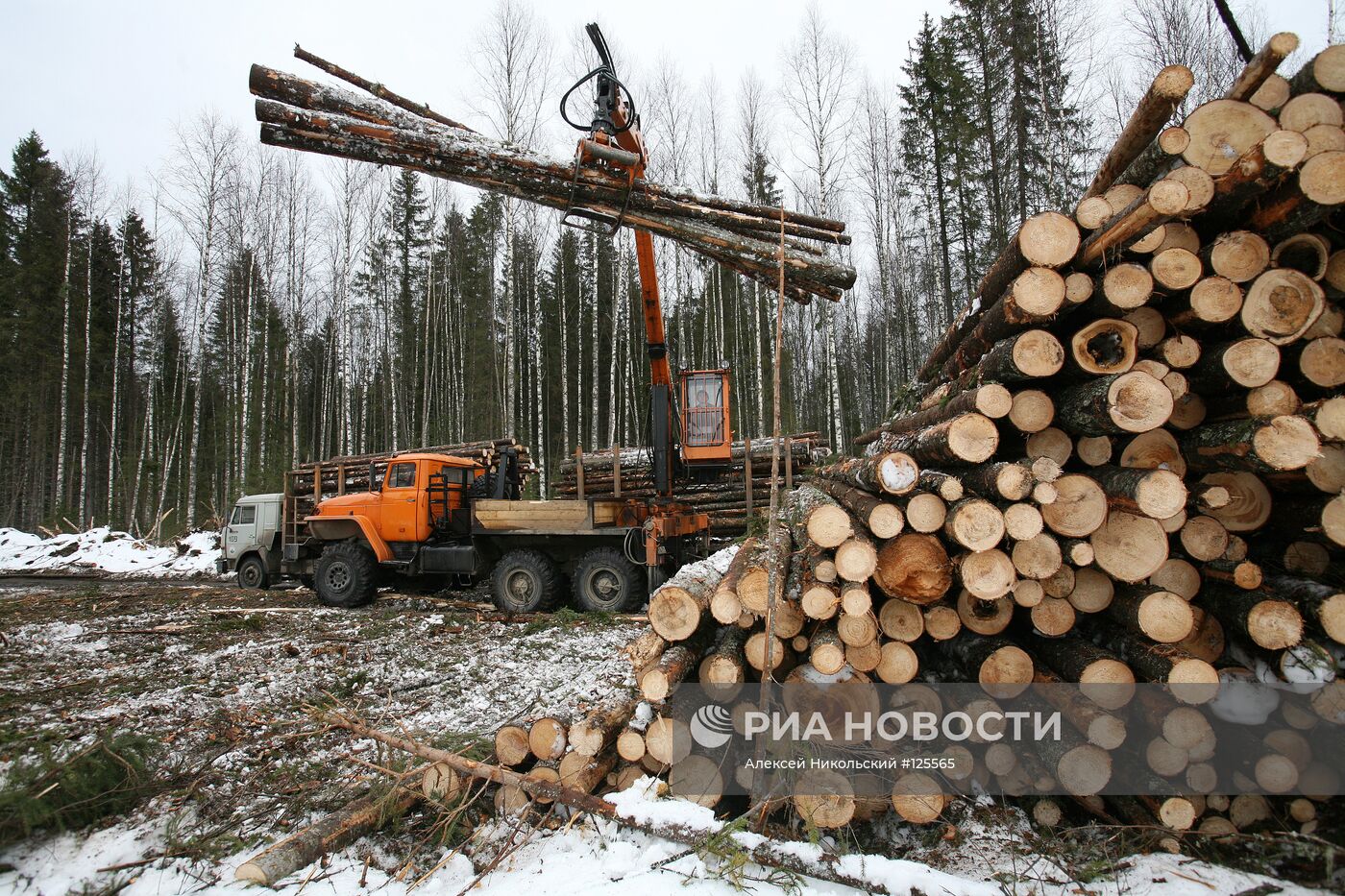 Заготовка леса