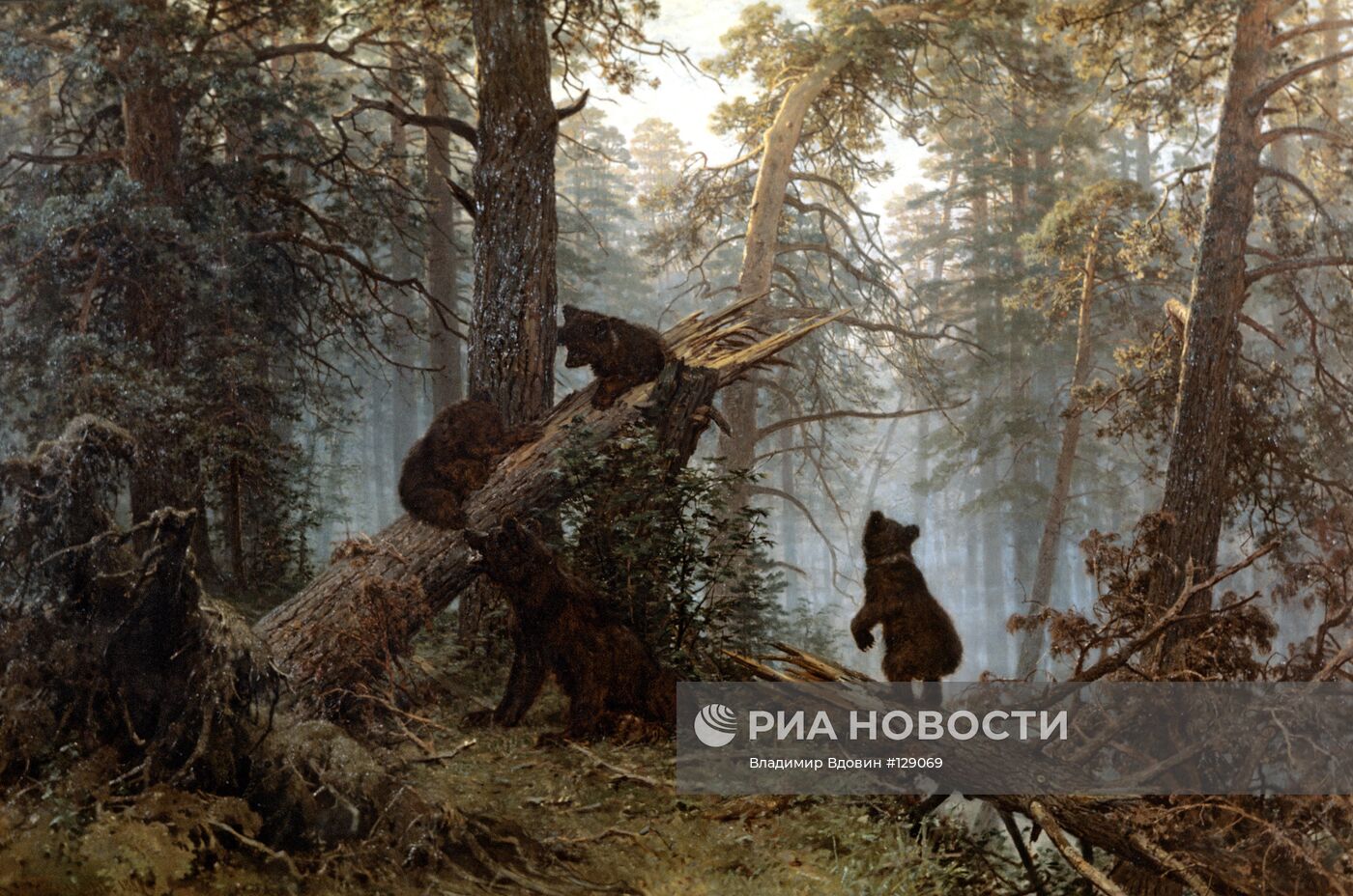 Картина Шишкина "Утро в сосновом лесу"