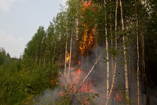 Тушение лесных пожаров в Томской области