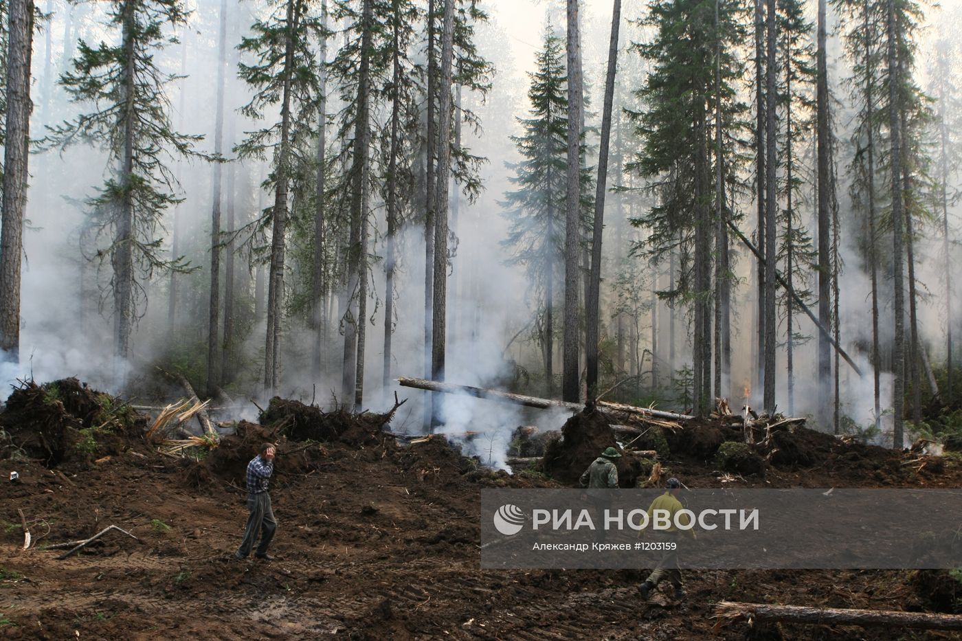 Тушение лесных пожаров в Красноярском крае