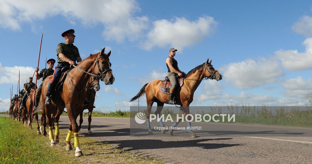 Конь московский казачий