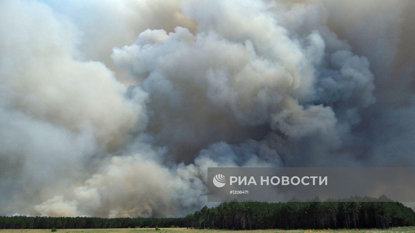 Крупный лесной пожар в Херсонской области Украины