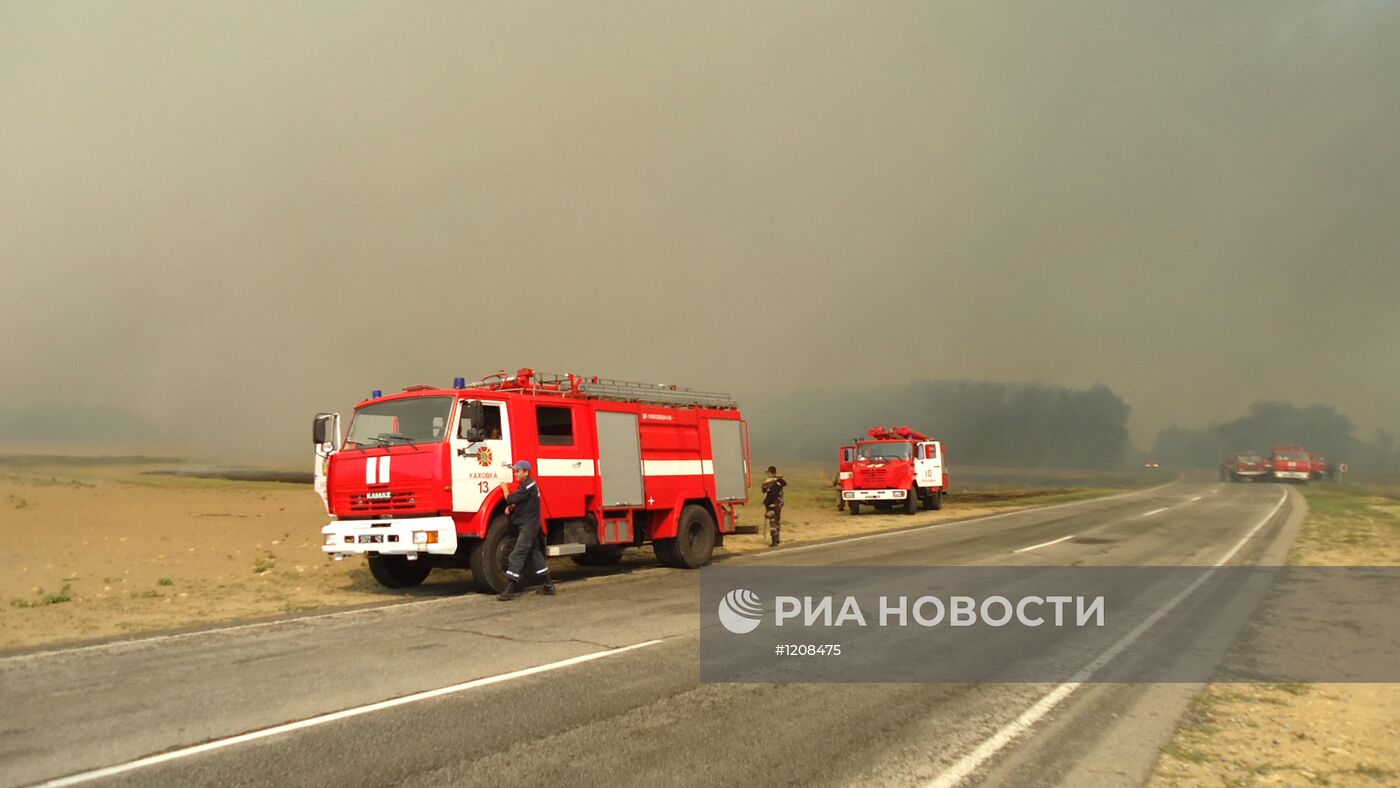 Крупный лесной пожар в Херсонской области Украины