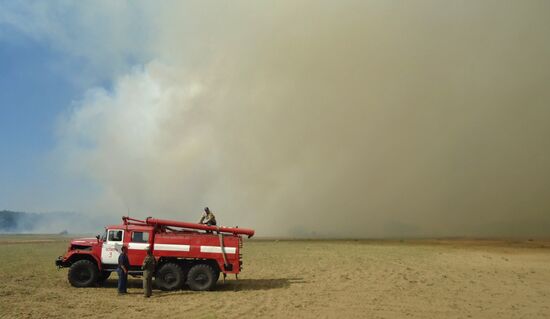 Крупный лесной пожар в Херсонской области Украины