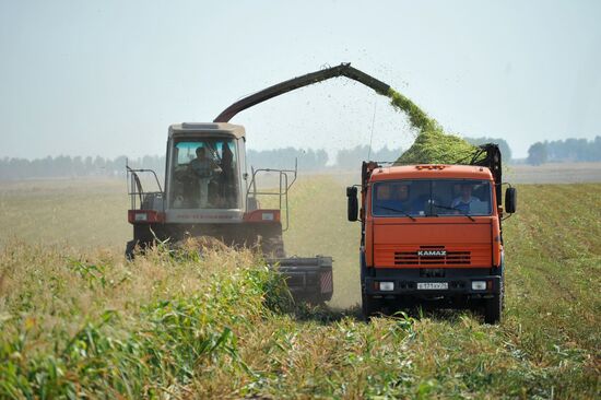 Заготовка сена и зеленой массы на полях ОАО "Совхоз Акбашевский"