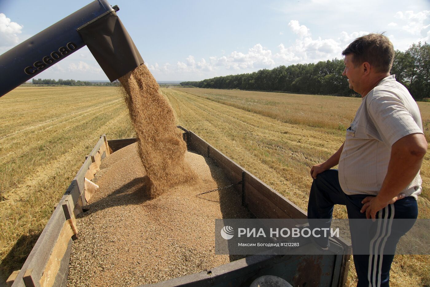 Уборка урожая в Татарстане