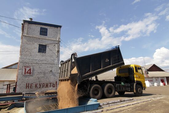 Чистопольский элеватор в Татарстане