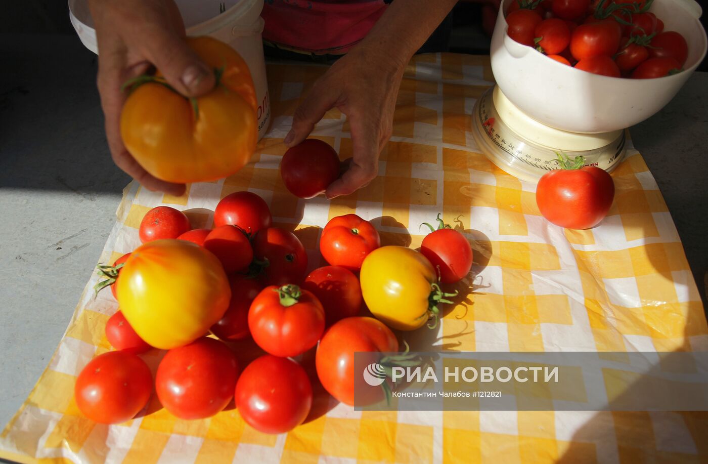 Уличная торговля в Великом Новгороде