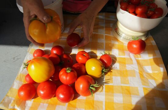 Уличная торговля в Великом Новгороде