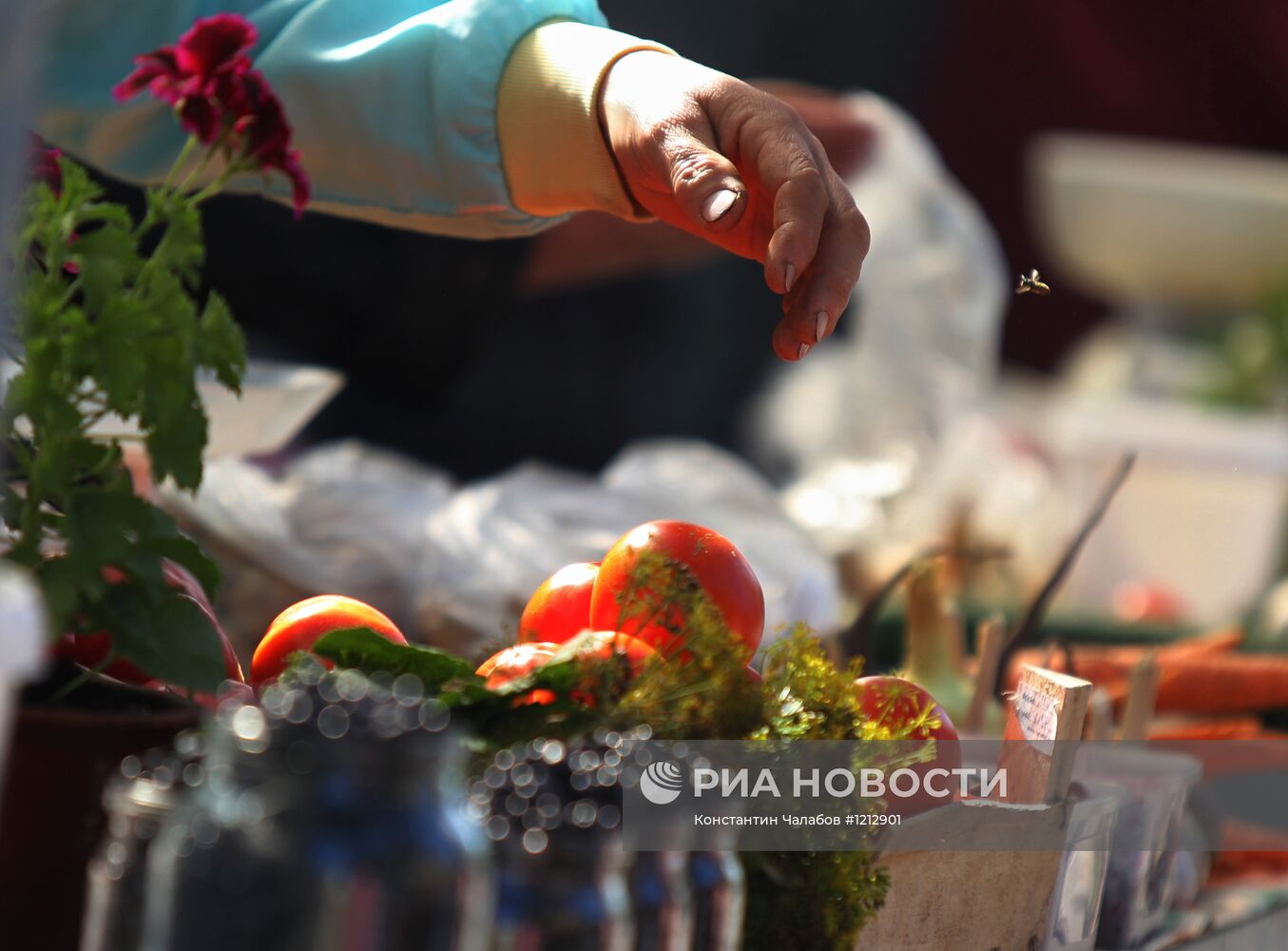 Уличная торговля в Великом Новгороде