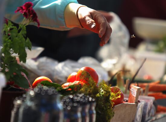 Уличная торговля в Великом Новгороде