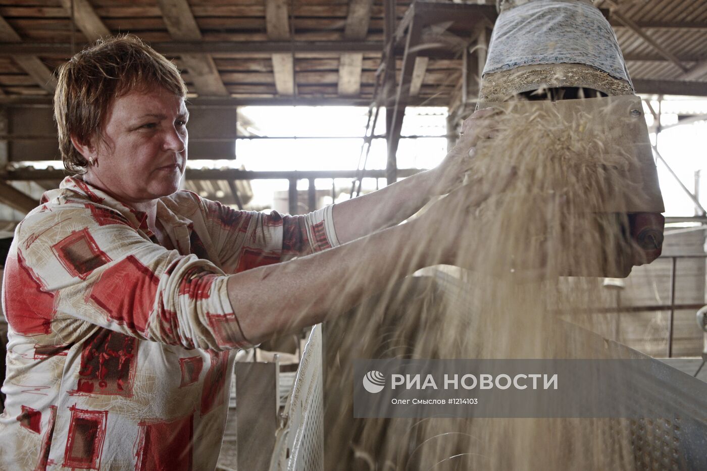 Уборка овса в Ярославской области