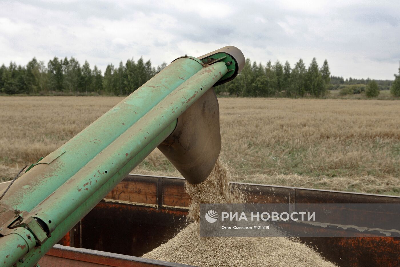 Уборка овса в Ярославской области
