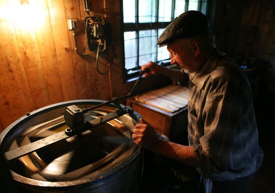 Сбор меда на пасеке в Горном Алтае