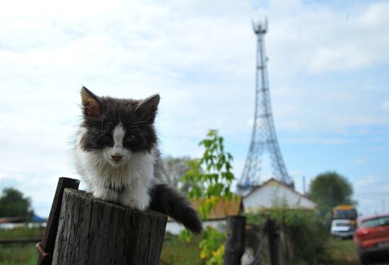 Праздник "Во славу отечества Российского" в селе Париж