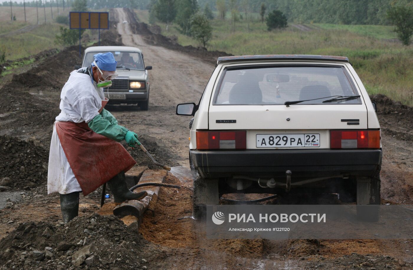 Вспышка сибирской язвы в Алтайском крае