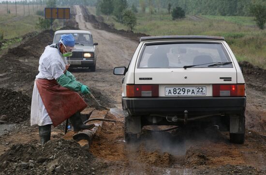 Вспышка сибирской язвы в Алтайском крае