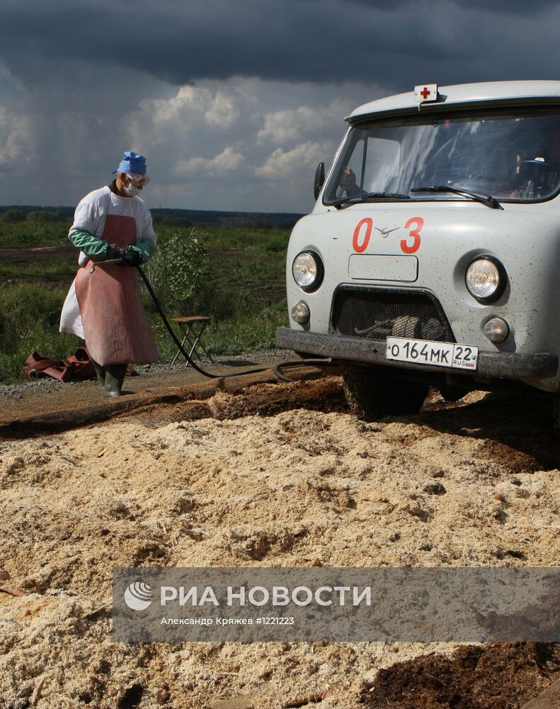 Вспышка сибирской язвы в Алтайском крае