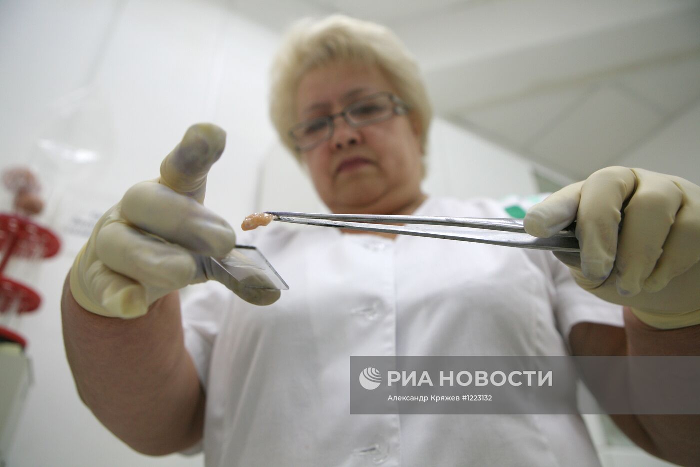 Контроль качества мяса на Центральном рынке Новосибирска