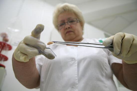 Контроль качества мяса на Центральном рынке Новосибирска