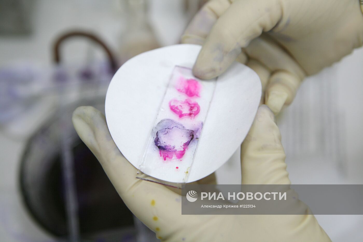 Контроль качества мяса на Центральном рынке Новосибирска