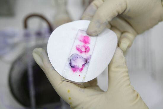 Контроль качества мяса на Центральном рынке Новосибирска