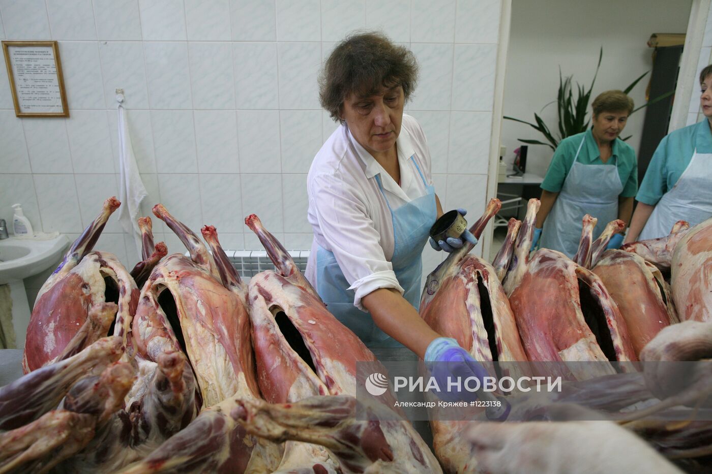 Контроль качества мяса на Центральном рынке Новосибирска