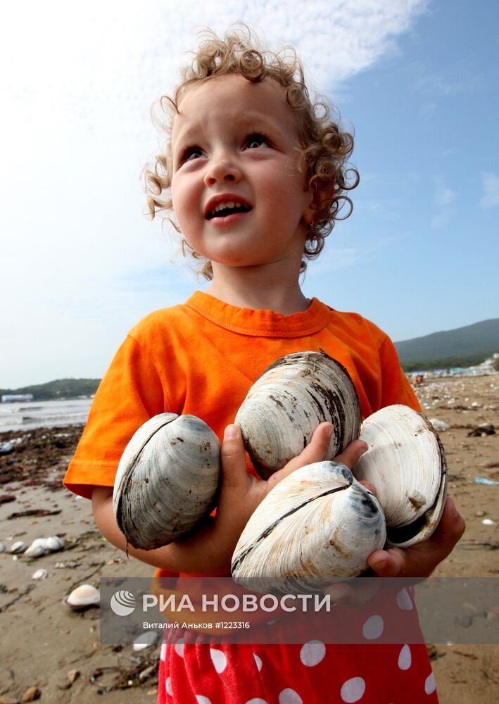 Тонны съедобных моллюсков выбросило на пляжи Приморья