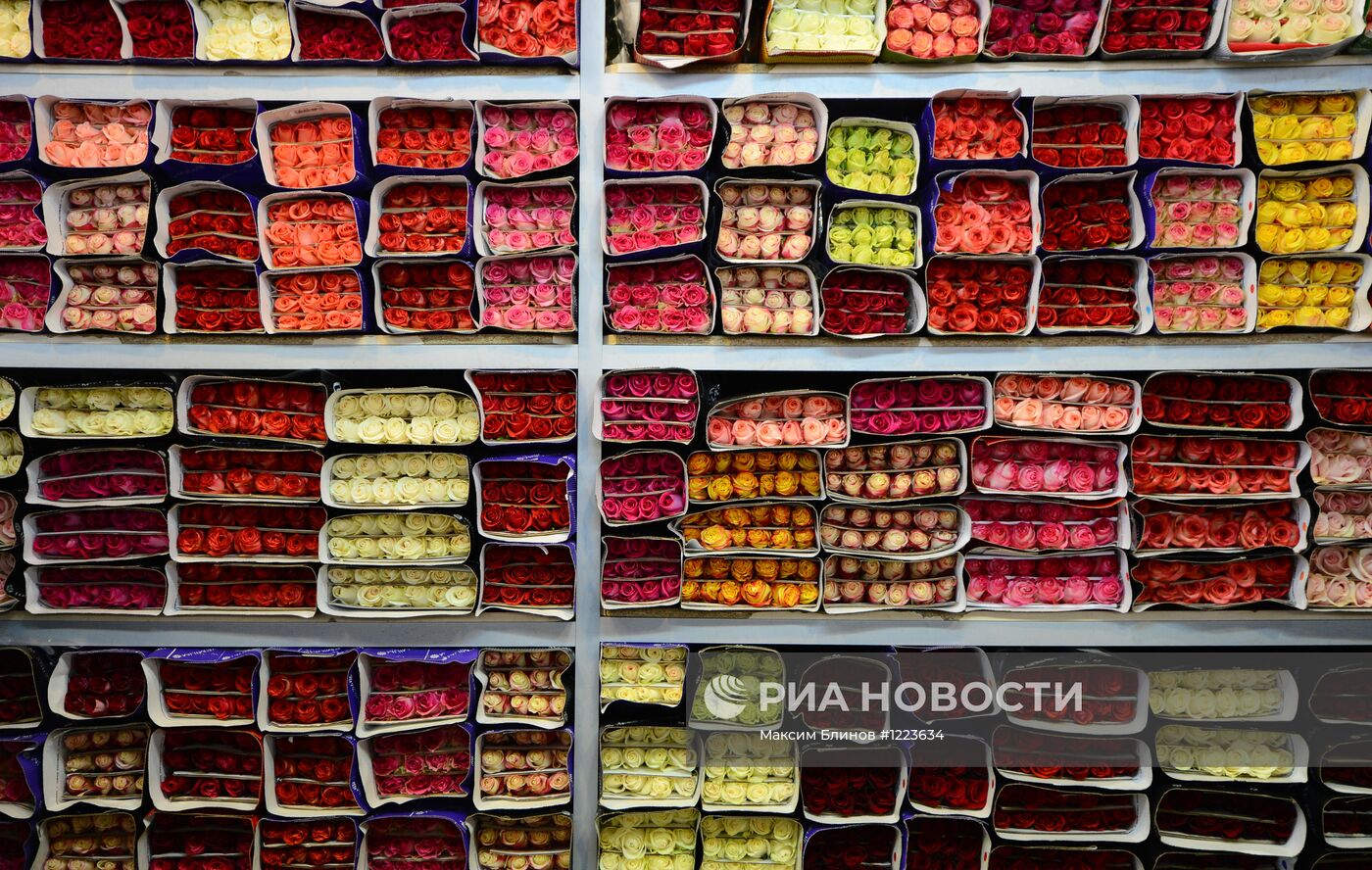 Продажа цветов перед началом учебного года в Москве