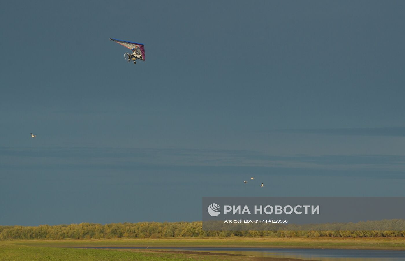 В.Путин принял участие в экологическом проекте "Полет надежды"