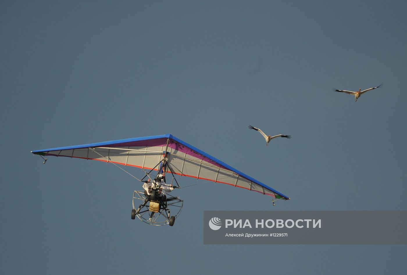 В.Путин принял участие в экологическом проекте "Полет надежды"