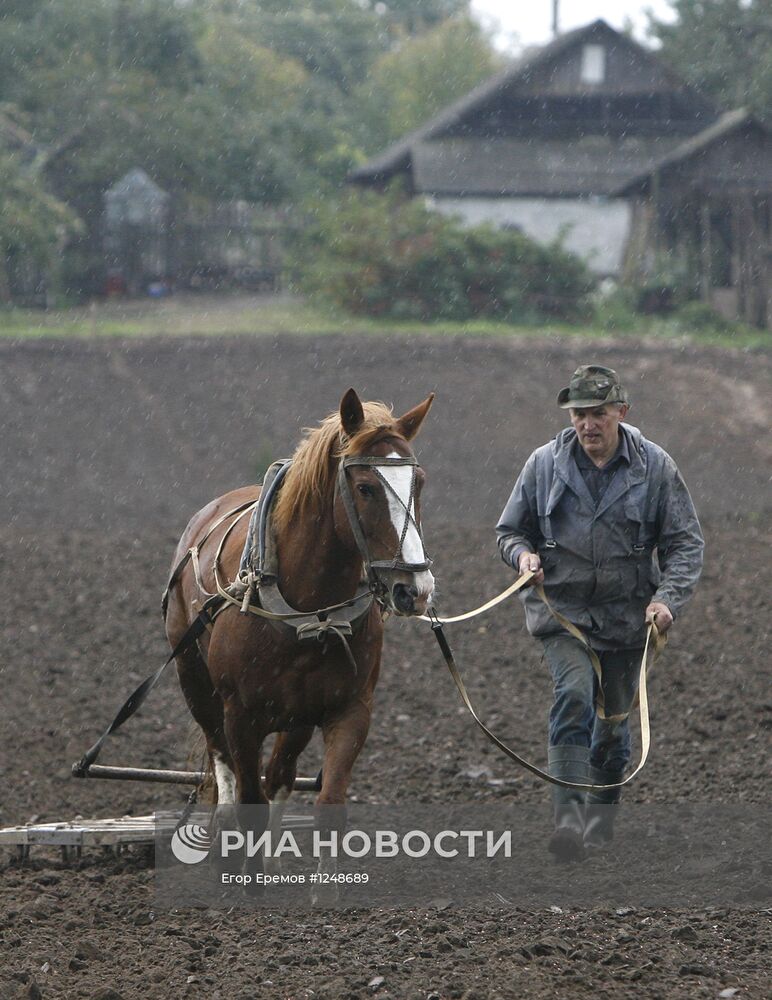 Посев озимых в Гродненской области Белоруссии