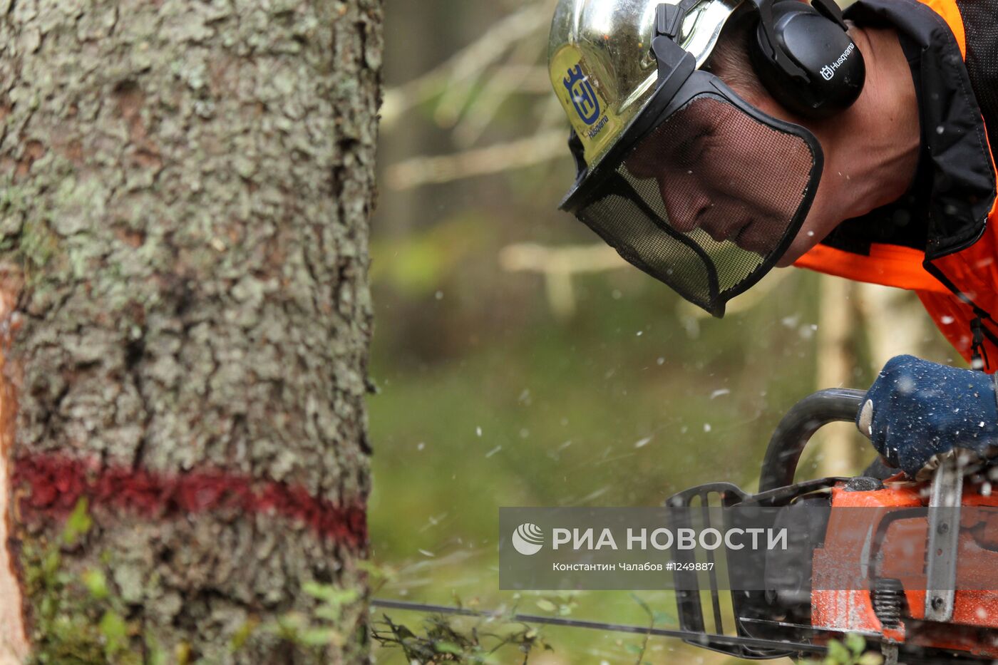 Конкурс лесорубов в Новгородской области