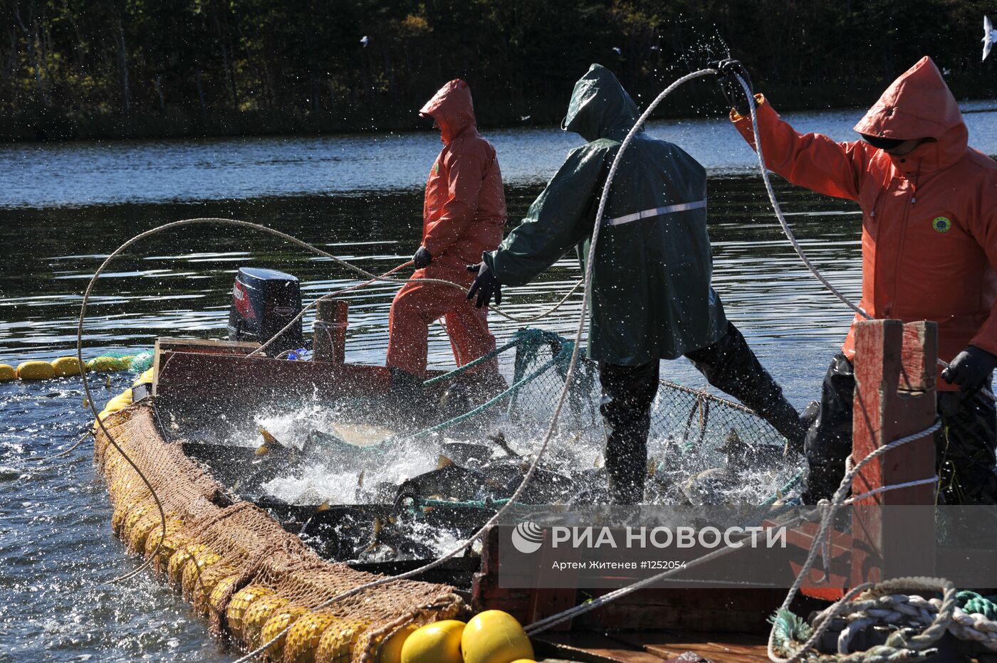 Работа рыбопромышленного предприятия "Тунайча"